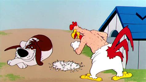 Clunk enough people and well have a nation of lump heads. . Best foghorn leghorn episodes